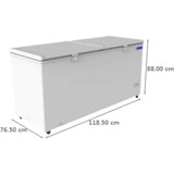 Bluestar 310.0 L CF330NPYW Direct Cooling Technology Frost Free Double Door Hard Top Chest Deep Freezer (White)