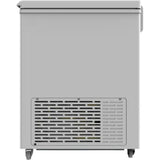 Bluestar 515.0 L CF575NPYW Convertible Direct Cooling Technology Frost Free Double Door Hard Top Chest Deep Freezer (White)