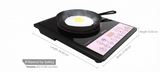 Havells GHCICEKK160 Induction-Cooktop EVO Cook PB-16 1600W Push Button Control Induction Cooktop (Black & Purple)