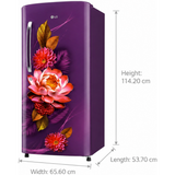 LG 210 L 3 Star Direct Cool Single Door Refrigerator (GLD2236YARS.DRSZEBN, Smart Inverter Compressor, Fast Ice Making, Red Waterlily, 2026 Model)