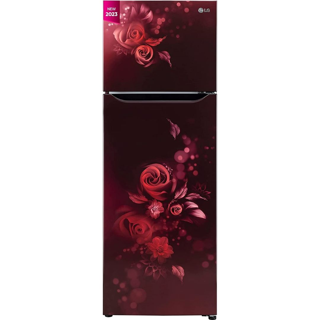 Lg double door shop fridge 300 litre