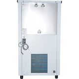 Blue Star 80.0 L NST6080C Stainless Steel Storage Water Cooler (Stainless Steel)