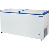 Blue Star 484 L CHFDD500MGPW Frost Free Double Door Standard Deep Freezer (White, Blue)